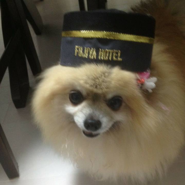 F67344c6 cb75 4ee9 949d e799adbfc2e6 1616385632345