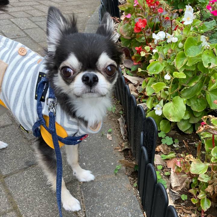 F67365b3 d7ca 476b ad51 d3b34729132f 1670080050478