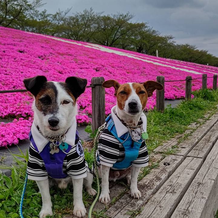 F6739bed b696 4599 98ee d7002f369aa1 1650198562941