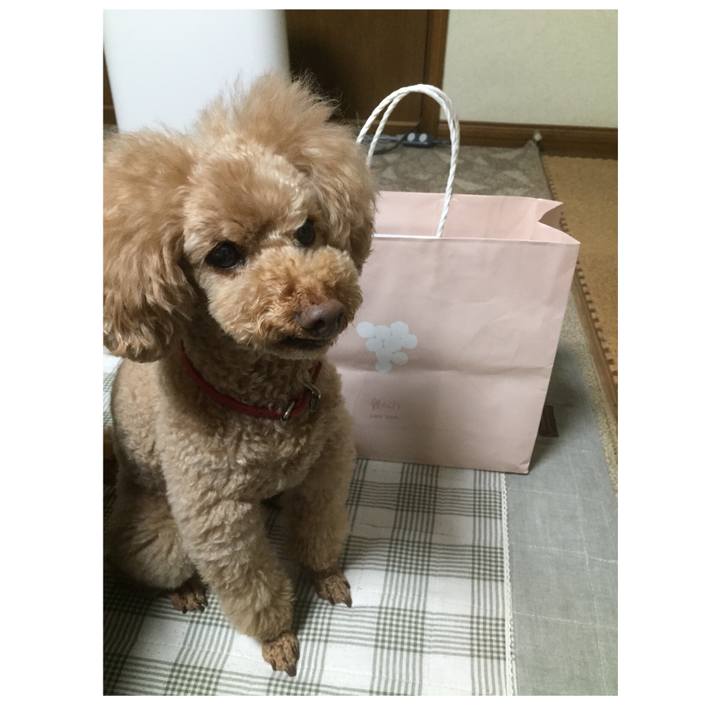 F673dad5 d391 48a3 89c4 a6ba7d3ead82 1525644721714