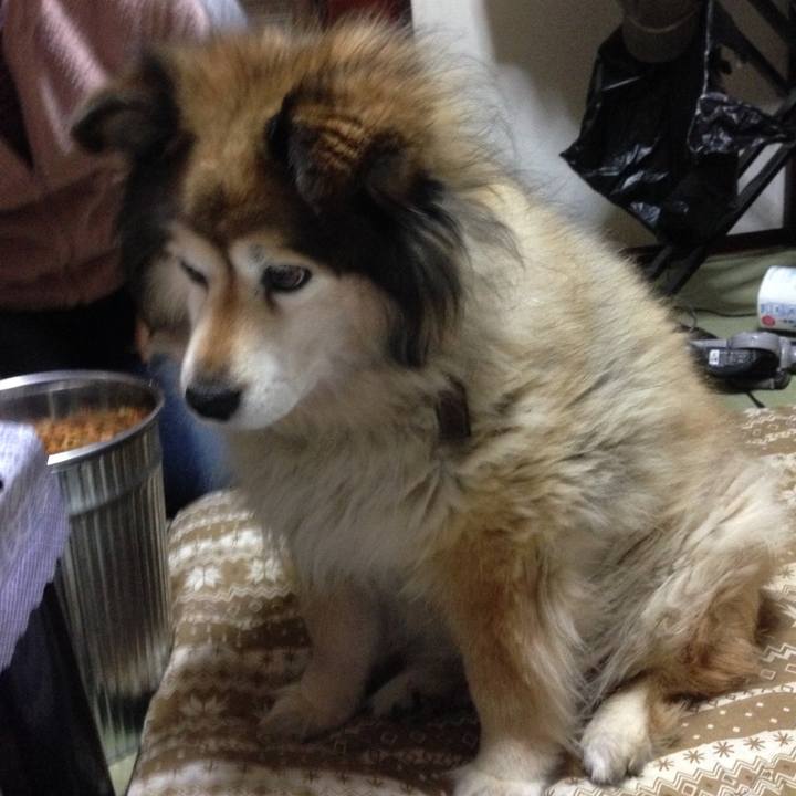 F673ead9 e13a 4dfc 826f 0bed01735083 1609754262593