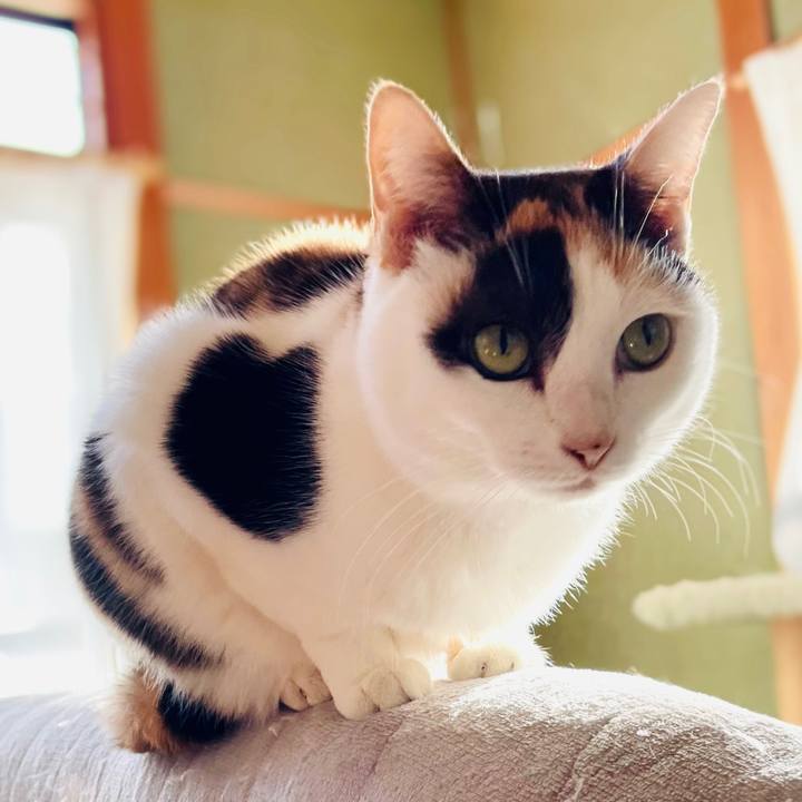 F673ec29 1834 467a b7d7 6d338d480fd0 1608085119160