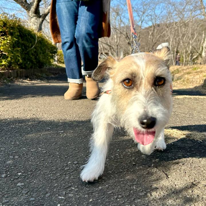 F673f190 4778 4678 99be 8cc9c01b81d3 1707489129209