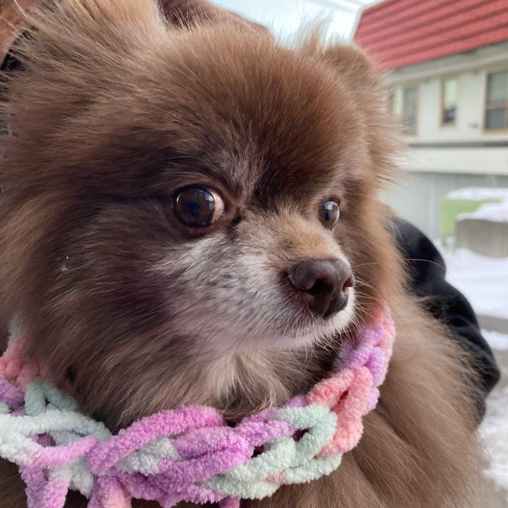 F673f9b9 9a9a 402c 8e90 88a9f97c5380 1676591792807