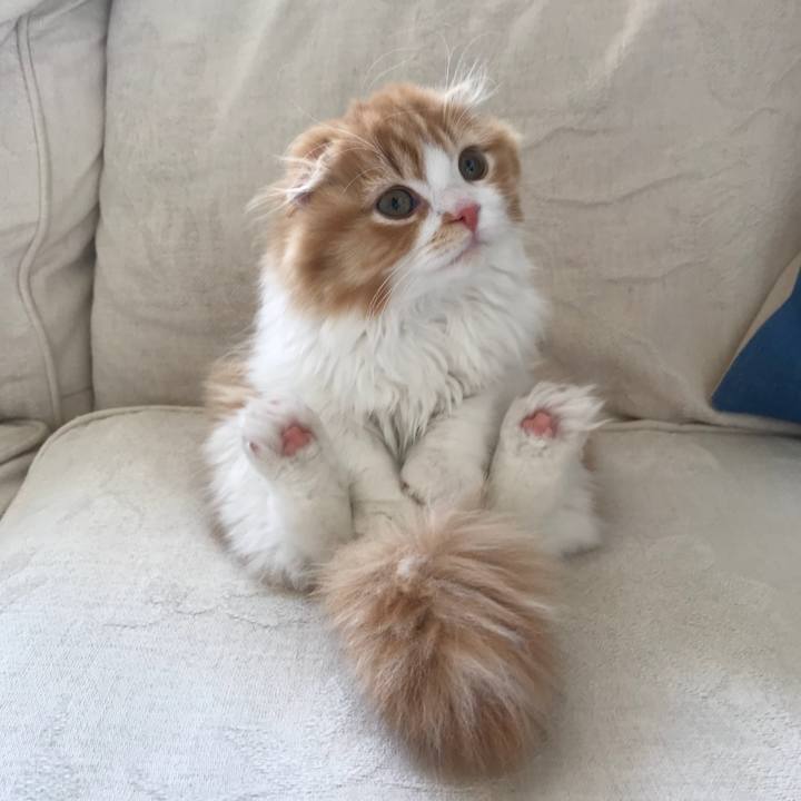 F6742c10 5c97 4c79 9dda e64c4301d5d9 1519270136751