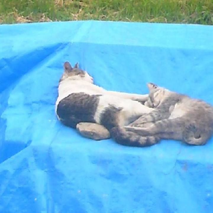 F6744ce9 3513 450e b373 8262a1b8636c 1551570637333