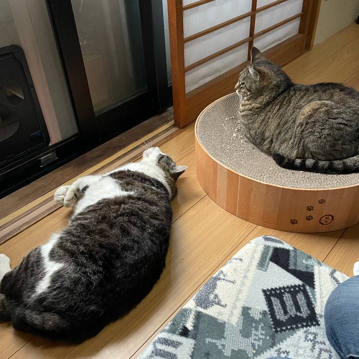 F6747c37 2946 44bf a30e 8cd532f9d8f1 1652431148685