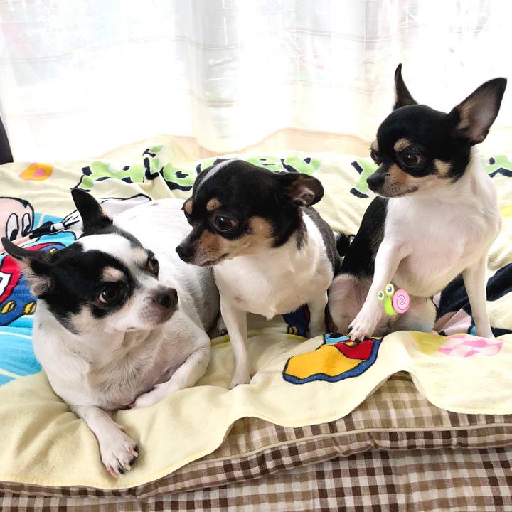 F6749a73 0dc8 42a4 91ee 85c555823cf7 1507679806886