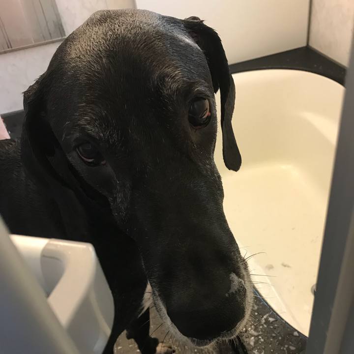 F6749f8a 9c4b 4110 9676 8cdc1fecd966 1525584456413