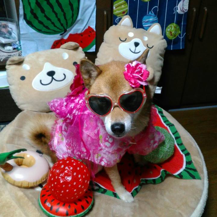 F674be6b a890 4bc4 b94e db1fd1c426c3 1534071927085