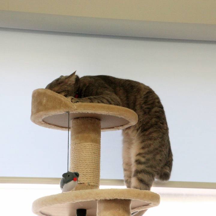 F674d094 36af 4860 bd50 ceeb65c77cda 1508494030749