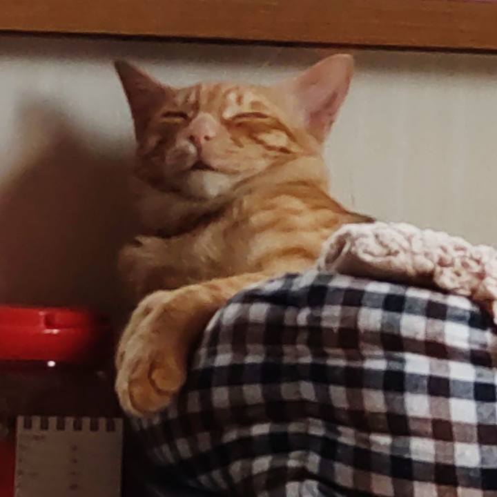 F674edd7 9684 41d9 b82b 103561681071 1681434398732