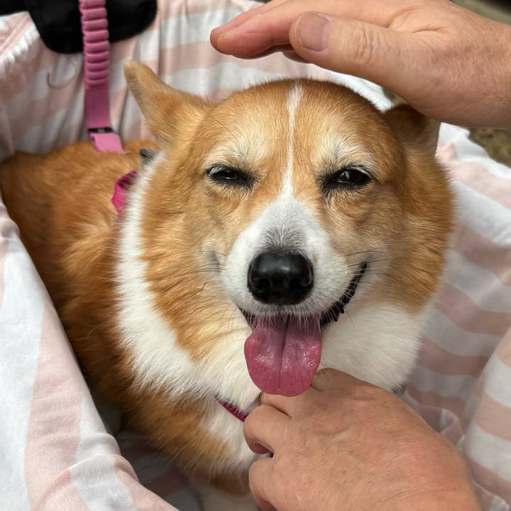 F674fb38 5523 40fc a1d8 1a0a4ca79cc9 1727064157036