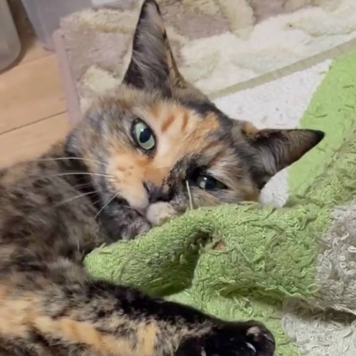 F674fd3a 9783 4329 8f4f 4bc74685ddd2 1772486540904