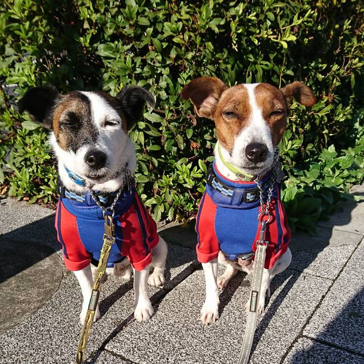 F6752e89 eee8 42b2 89dd 619d9a86a331 1604880143916