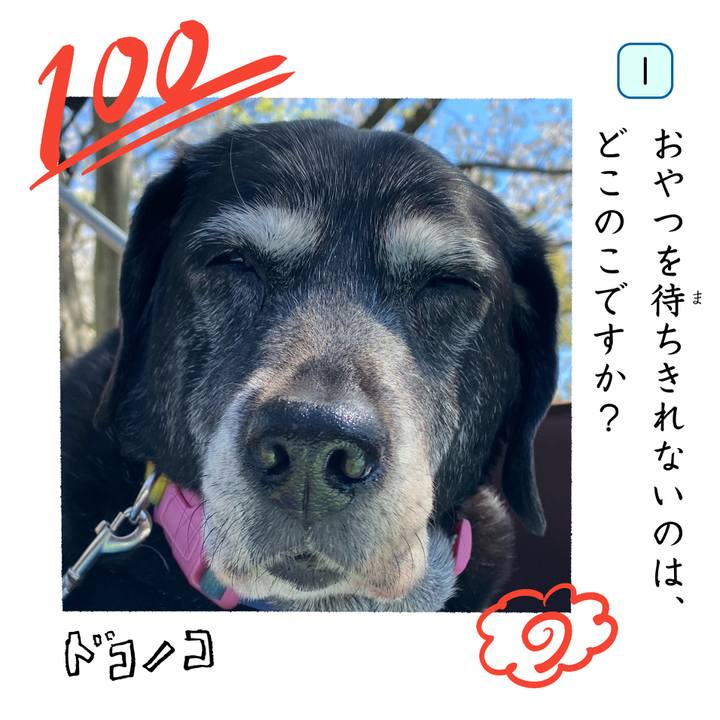 F67547f5 894f 4e1c 8105 ea984ee9f97d 1744256678315