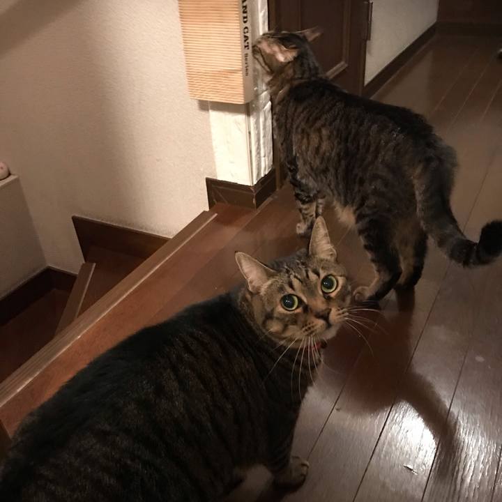 F67595fe 70ed 4457 9172 75aecc356278 1578317199756