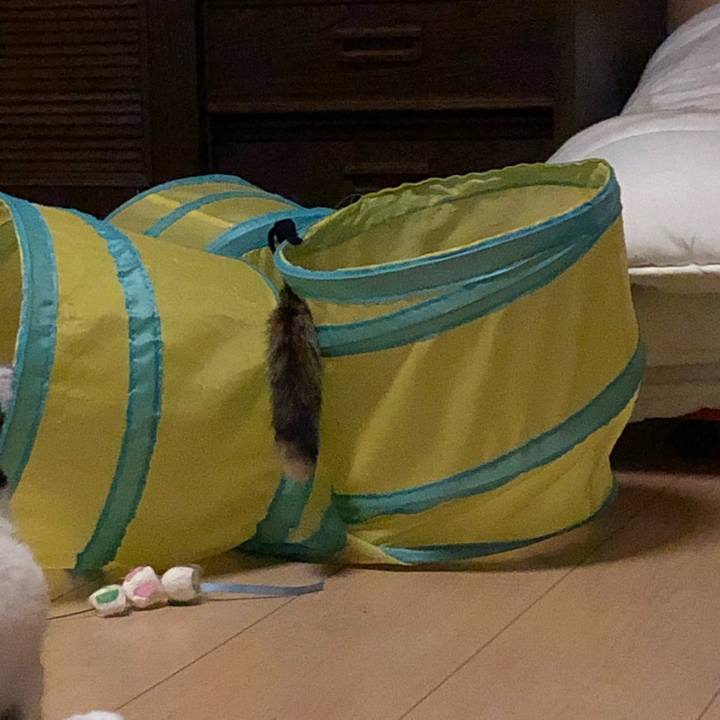 F6759a65 4590 4db3 a47b d866b9270c69 1594058703052