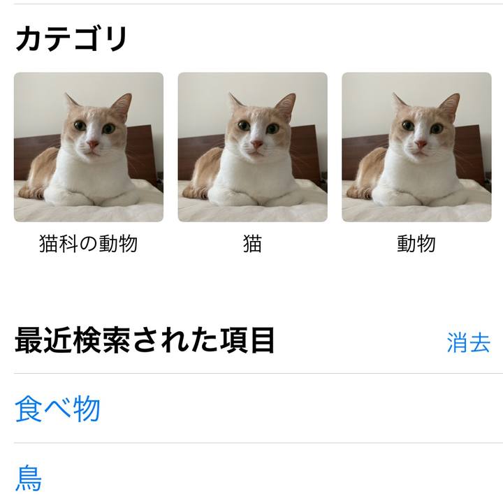 F675ba03 d0df 4979 bbd0 89a8d7b08ece 1650456952298