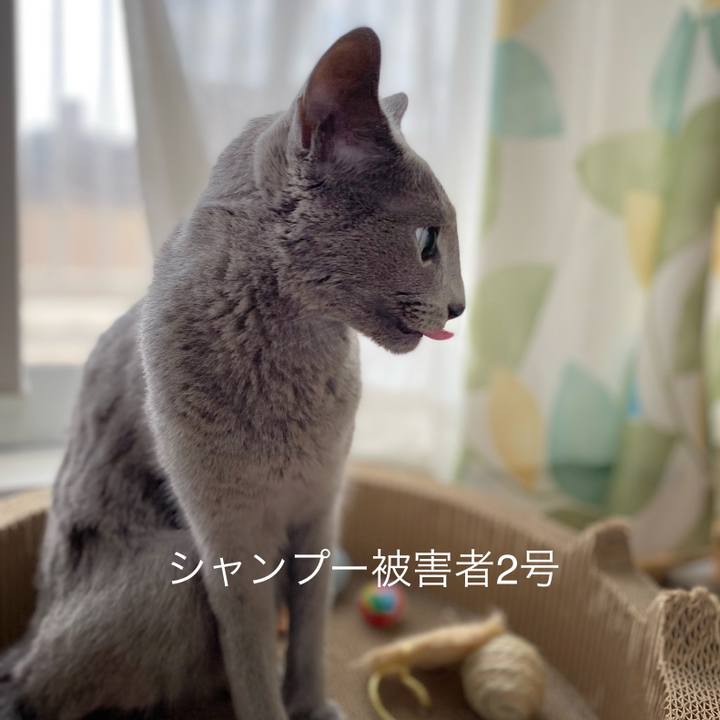 F6763428 a873 4402 ba8f 0abc4b98645f 1660476665348