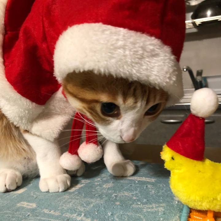 F67643e2 3e3d 4acd a936 afba73056513 1544354818695