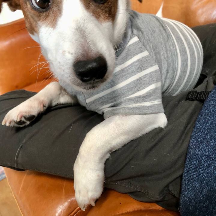 F67666d6 79bc 4a1c 9628 1cc9e5e0b748 1669439842073