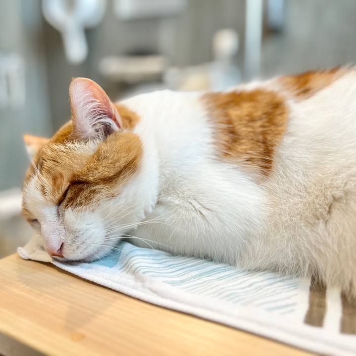 F6774e17 8c0d 4e02 b5c0 fee11ca0d500 1772240747861