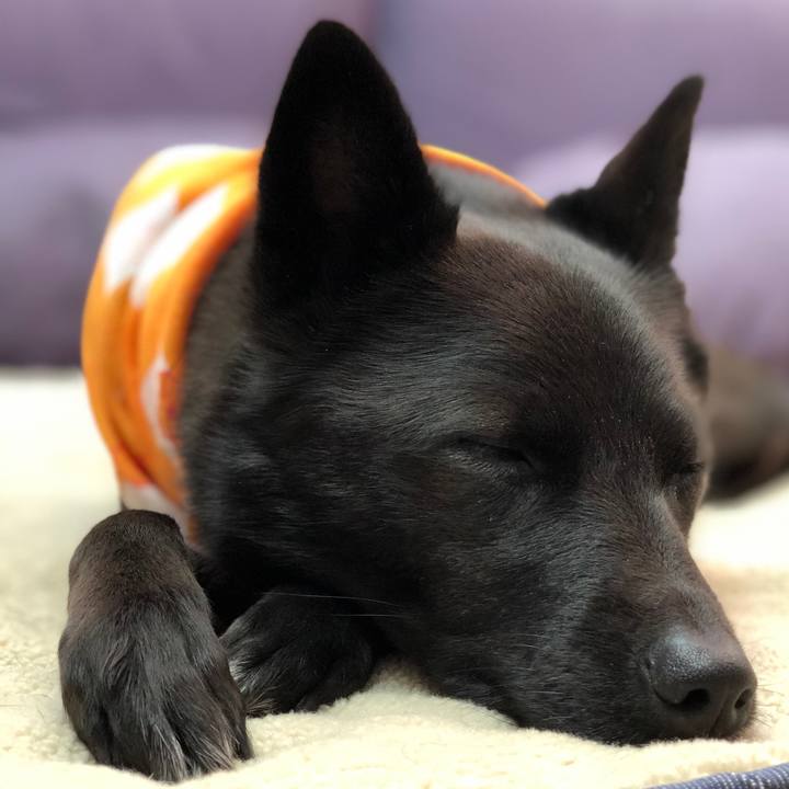 F677849b 2c47 4d9a bc55 82ddd7aa391e 1616309864797