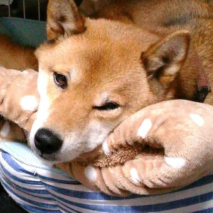 F677b04d ba43 4127 a82e 5f89f453d394 1513859764795