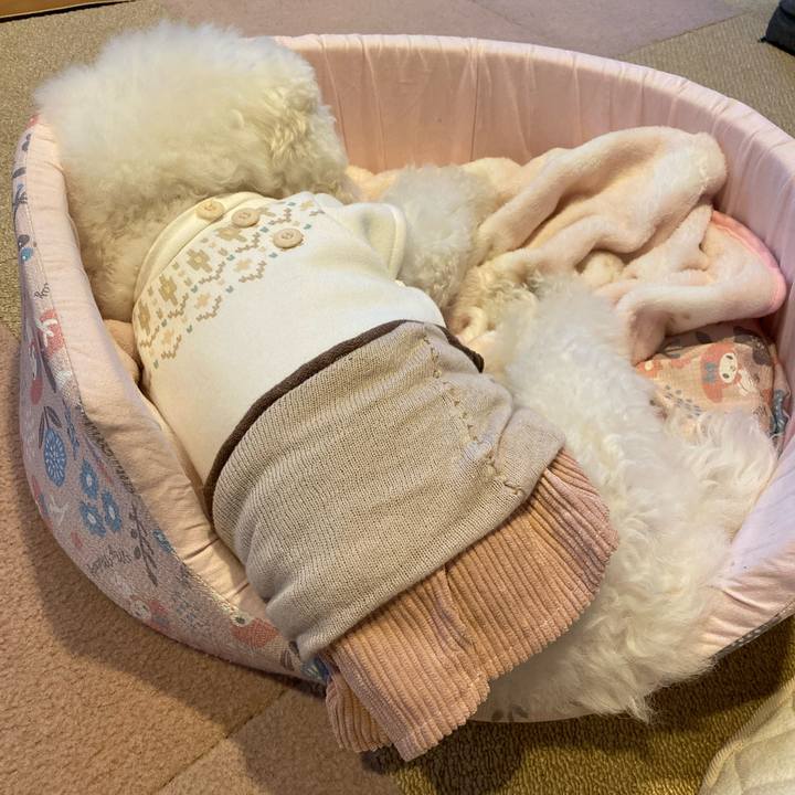 F677b2f9 6c5b 4667 80f5 b80ae7e76373 1736233679288