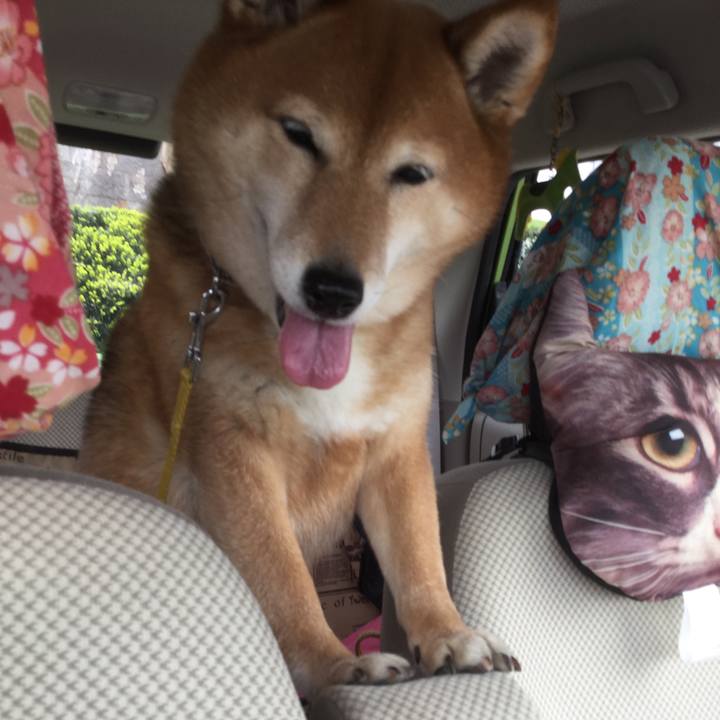 F677d0f0 4d43 4a4e b874 576858354c2f 1555471975083