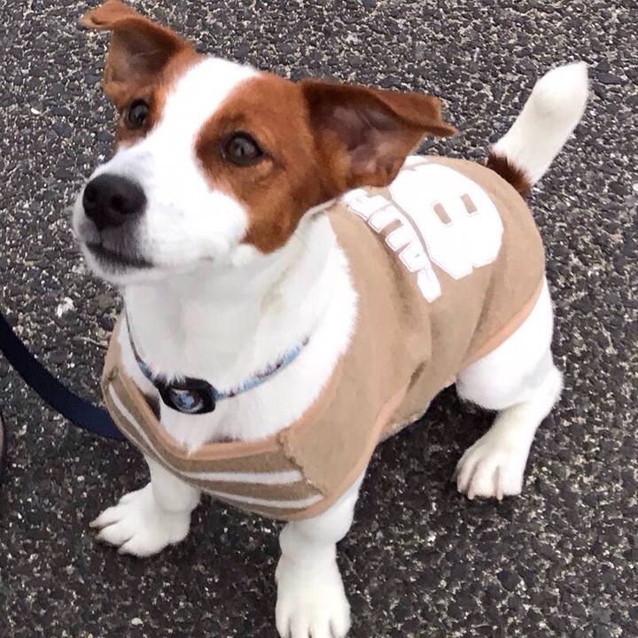 F677d3ff e263 46b1 b7da 5c8d0ddb0650 1523604926418