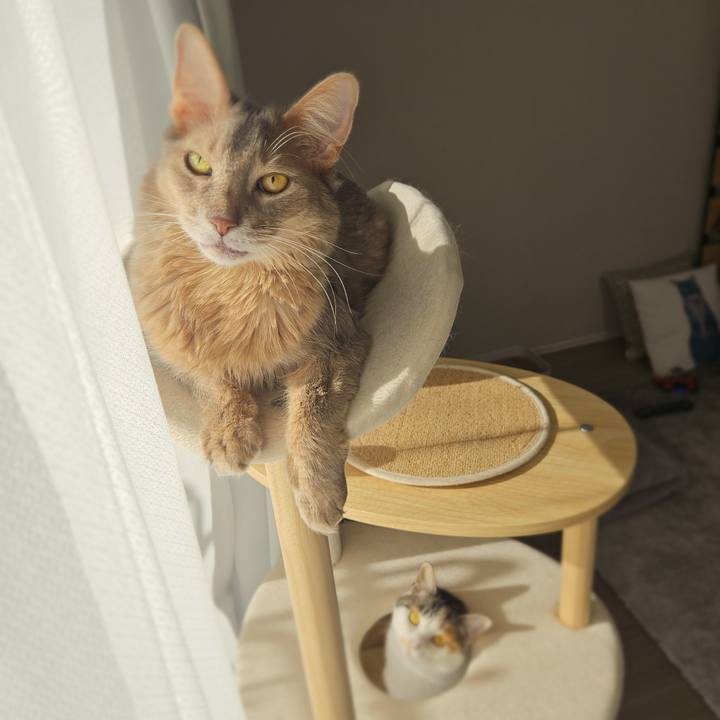 F677e1fc 1bb9 40b3 aa32 be6b96301bff 1767058463505