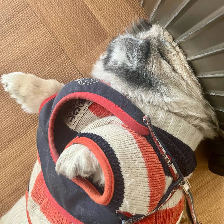 F677f81c ca62 45bb 8f8c d3557cd6b22f 1736123332464