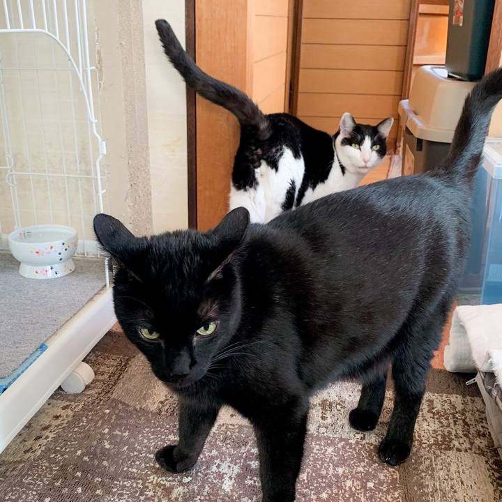 F6786304 fcd8 4f31 be17 8febf6c552fa 1583716186143