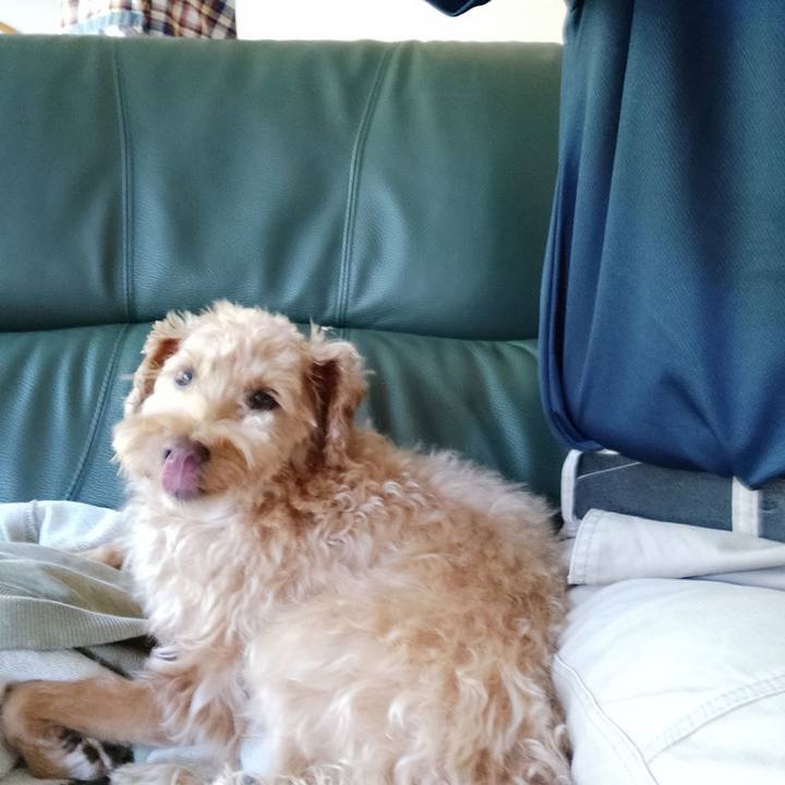 F6787343 2538 4bbb 9be2 cf67a2db4286 1598397756489