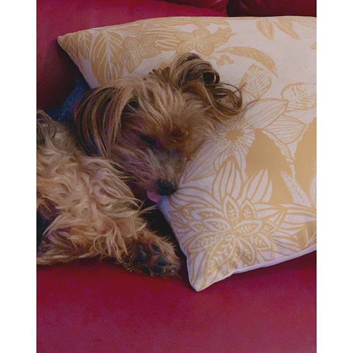 F678aa3f 7f1e 4b60 a5f5 36b1fca18e31 1566645570492