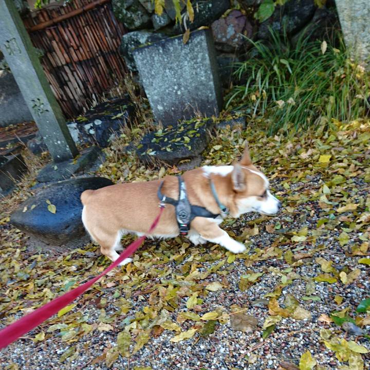 F678b46a 6b49 47f6 adb0 2cc64a77ad3d 1640061883335