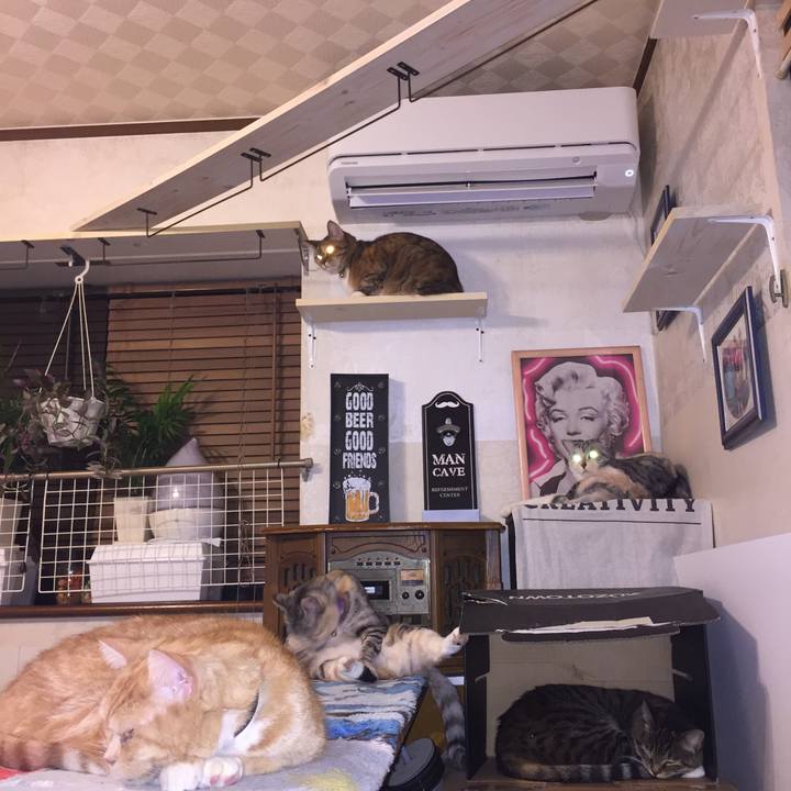 F678c6bc e897 4547 ad31 63bc6e4bfa40 1547125771888