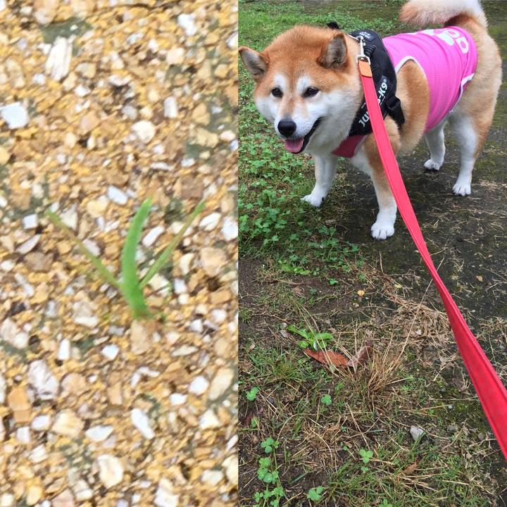 F678c73d dcad 4486 b287 660c02415103 1595476263770