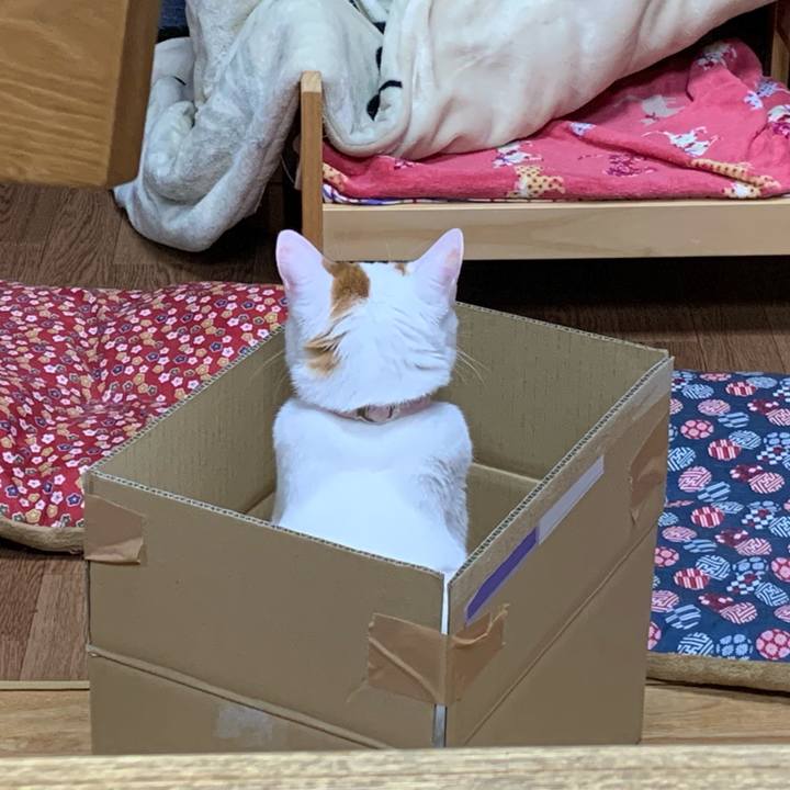 F678c7c4 7921 4a7d 85e9 5725f34b35cf 1589285305526