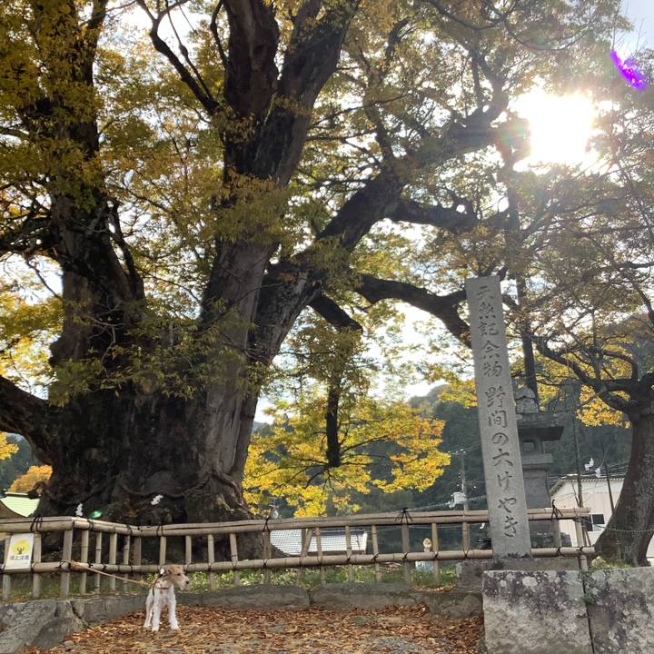 F678cb5a 38a3 4cb7 a4ef 7b3a1ef6b849 1763112556566