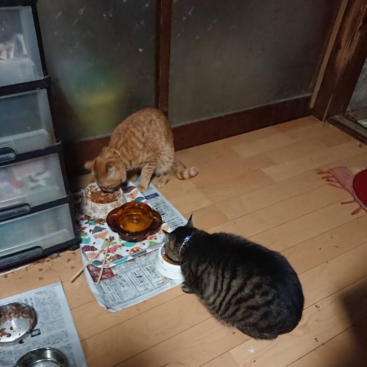 F678d612 efa2 42d5 b5c6 8169f354b3a8 1655243089805