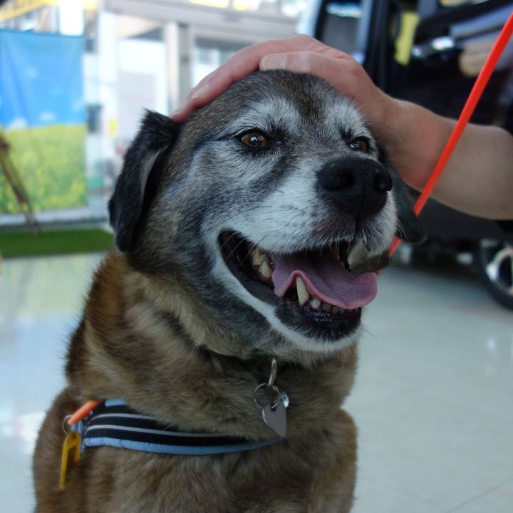 F678fb31 36b7 4d64 be81 e1e23b19cc91 1668213493719