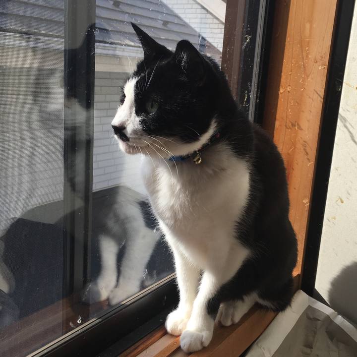 F67945e4 5eb7 475a b122 37ef9cb57a57 1518926656382