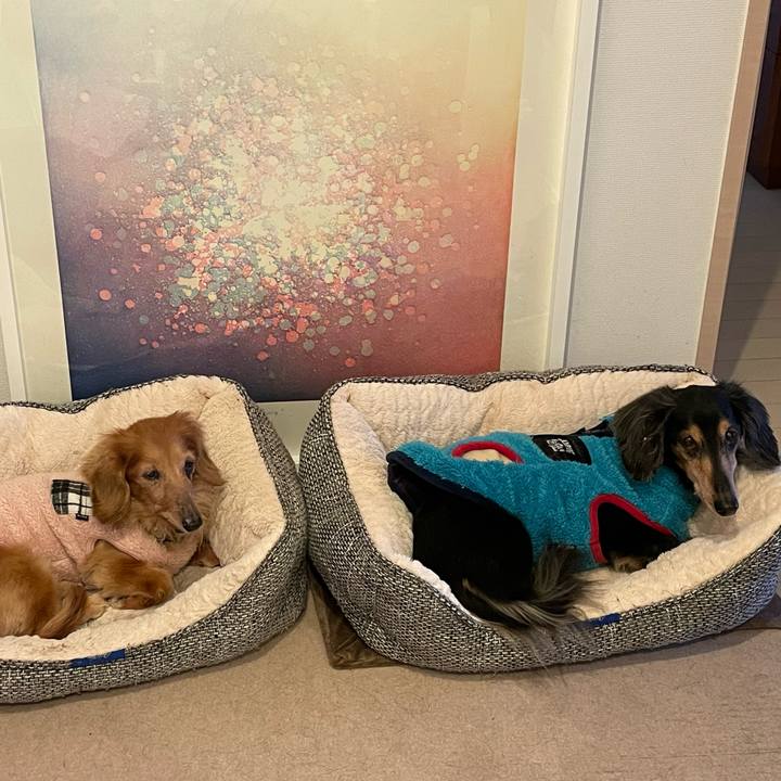 F6794fbe 0565 42f2 9f71 9c20c066f343 1676864509821