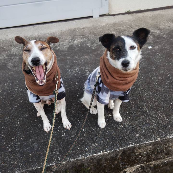 F67970b4 82e3 4490 8ddb 564090d266a5 1767223746951