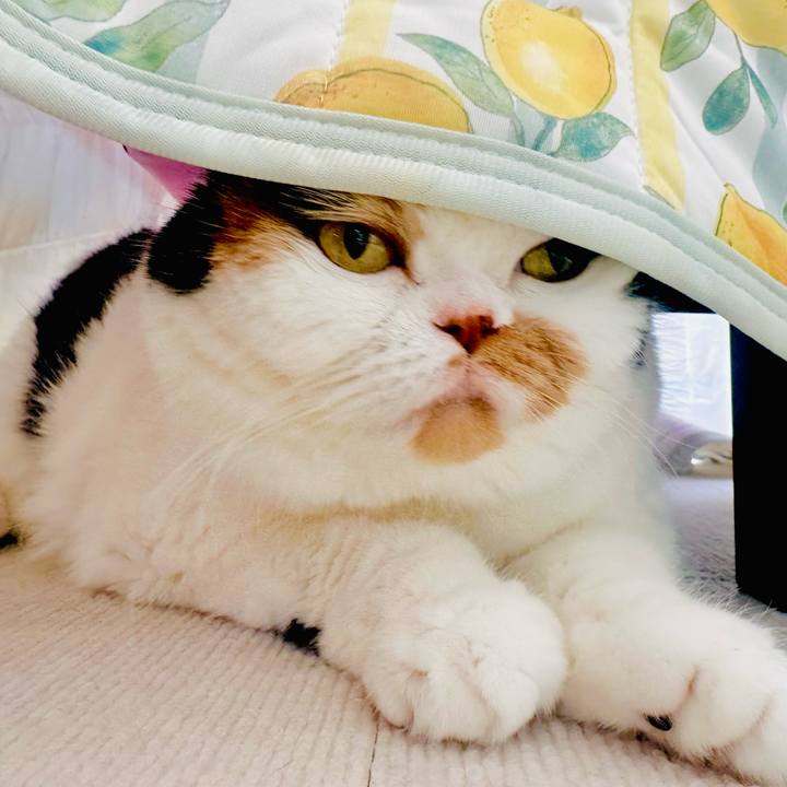 F679d524 ea18 4b8d 92ae 5b27a78a62dd 1718322361609