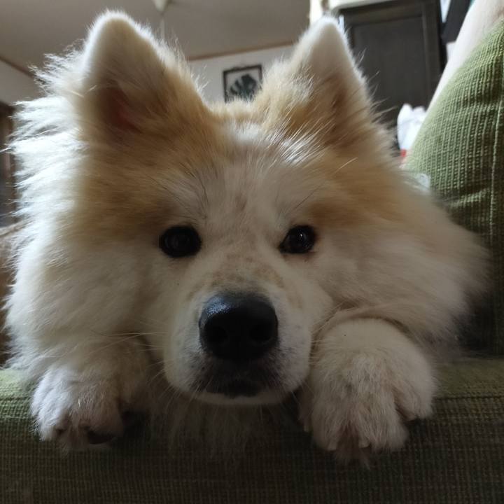 F67a054e cb53 4bbd 933a 5dc087731825 1631795831427