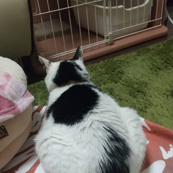 F67a1008 b34a 4d8e 8642 8ecf8591961e 1673255868263